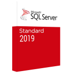 Licență Windows Server SQL 2019 Standard 24-core